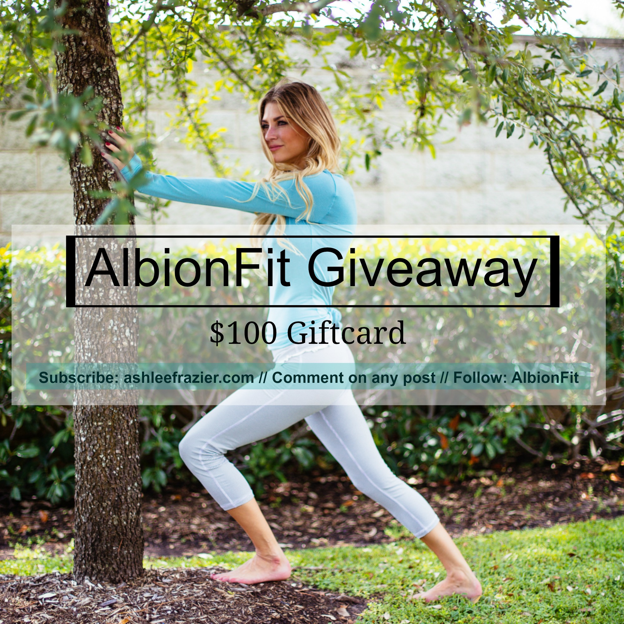 Albion Giveaway